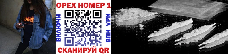 COCAIN Fish Scale где купить наркоту Пудож