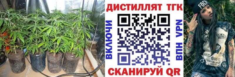 магазин    Пудож  Дистиллят ТГК Wax 