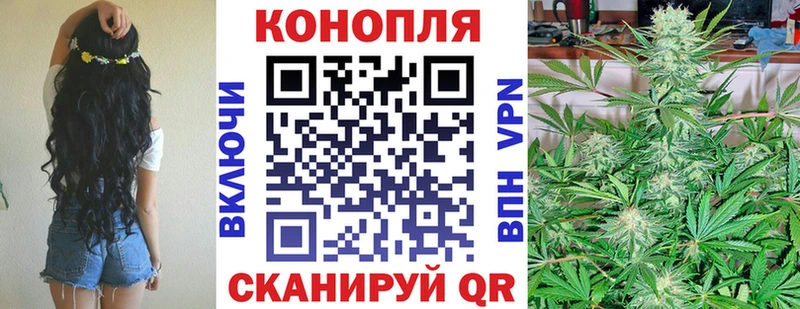kraken как войти  сколько стоит  Пудож  Конопля AK-47 